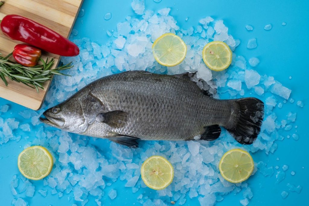Cum impresionează bibanul de mare australian prin gustul său oceanic unic ce transformă masa într-un festin